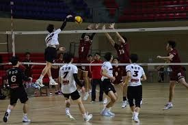 CBA：辽宁男篮主场告捷